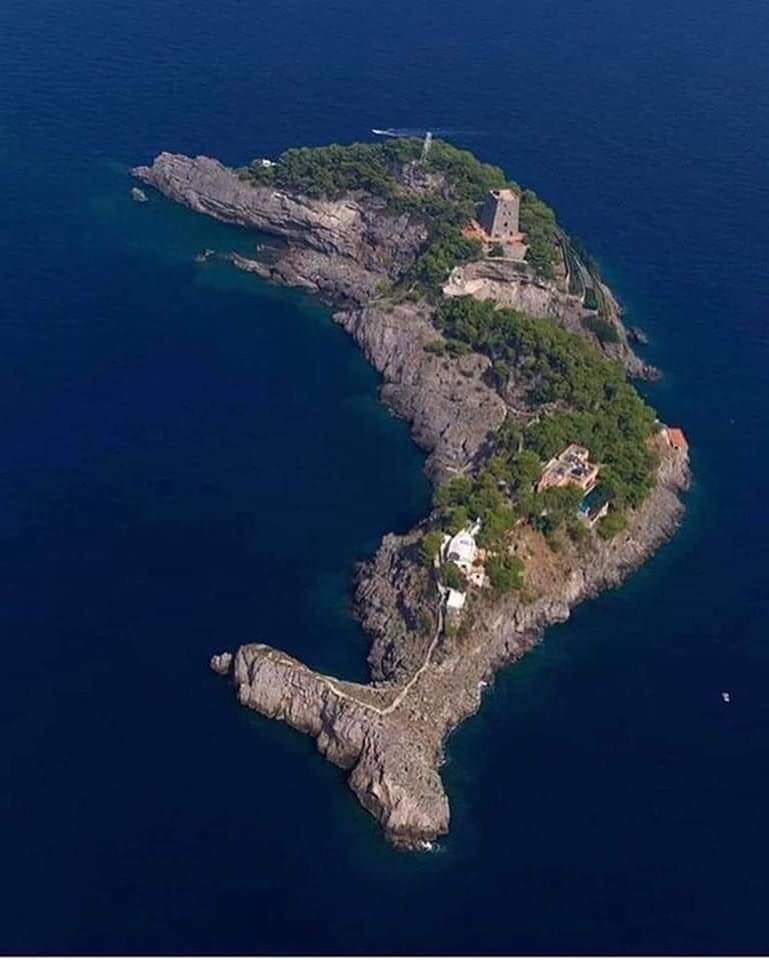 Dolphin Island, Italy.jpg